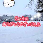 ヒメ日記 2026/02/09 09:56 投稿 北川ねこ セレブショップ新宿（東京ハレ系）