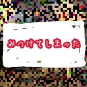 ヒメ日記 2026/02/24 11:51 投稿 北川ねこ セレブショップ新宿（東京ハレ系）
