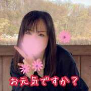 ヒメ日記 2026/04/01 06:30 投稿 北川ねこ セレブショップ新宿（東京ハレ系）