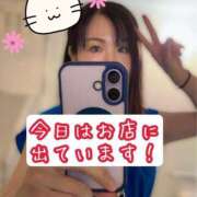 ヒメ日記 2026/04/28 06:30 投稿 北川ねこ セレブショップ新宿（東京ハレ系）