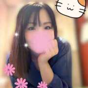 ヒメ日記 2026/04/29 08:09 投稿 北川ねこ セレブショップ新宿（東京ハレ系）