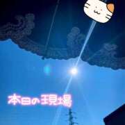ヒメ日記 2026/05/07 09:05 投稿 北川ねこ セレブショップ新宿（東京ハレ系）