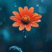 ヒメ日記 2025/12/06 15:02 投稿 楓◇かえで 人妻吐息