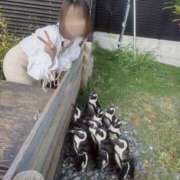 ヒメ日記 2025/12/14 10:34 投稿 そら 横浜人妻セレブリティ（ユメオト）