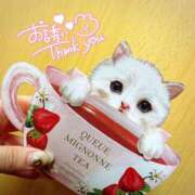 ヒメ日記 2025/12/31 10:53 投稿 そら 横浜人妻セレブリティ（ユメオト）