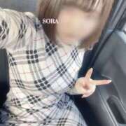 ヒメ日記 2026/01/11 12:01 投稿 そら 横浜人妻セレブリティ（ユメオト）