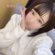 ヒメ日記 2026/02/05 13:01 投稿 そら 横浜人妻セレブリティ（ユメオト）