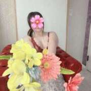 ヒメ日記 2026/04/16 16:03 投稿 はなよ 丸妻 町田店