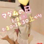 ヒメ日記 2026/01/24 11:50 投稿 なつみ マダム錦糸町