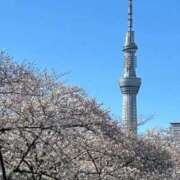 ヒメ日記 2026/04/08 09:20 投稿 なつみ マダム錦糸町