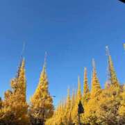 ヒメ日記 2025/12/05 09:47 投稿 なつみ マダム西船橋