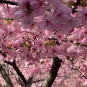 なほ 出勤日 即アポ奥さん～浜松店～