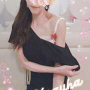 ヒメ日記 2025/11/30 11:11 投稿 かずは 大阪ミナミ人妻援護会