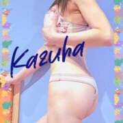 ヒメ日記 2026/06/11 12:32 投稿 かずは 阪神人妻花壇