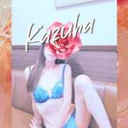 ヒメ日記 2026/06/23 22:45 投稿 かずは 阪神人妻花壇