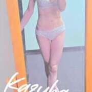 ヒメ日記 2026/07/30 09:10 投稿 かずは 阪神人妻花壇