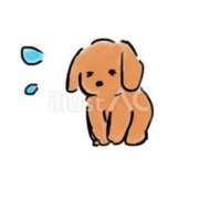 ヒメ日記 2026/04/18 13:29 投稿 ななみ SPIN(スピン)