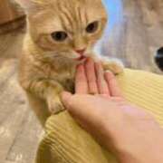 ヒメ日記 2025/11/16 15:37 投稿 なの エスッテ×エスッテ