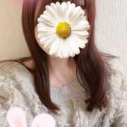 ヒメ日記 2025/11/29 11:02 投稿 なの エスッテ×エスッテ