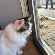 ヒメ日記 2025/11/25 14:14 投稿 結白あや HYPER TOKYO