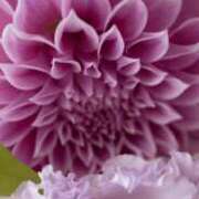 ヒメ日記 2025/11/21 15:32 投稿 藤澤 恵麻 熟女・人妻マダム宮殿