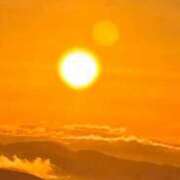 藤澤 恵麻 迎春 熟女・人妻マダム宮殿