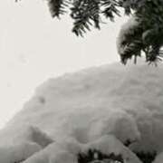 ヒメ日記 2026/01/12 20:49 投稿 藤澤 恵麻 熟女・人妻マダム宮殿