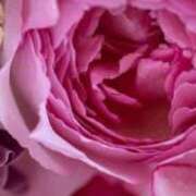 ヒメ日記 2026/03/02 22:30 投稿 藤澤 恵麻 熟女・人妻マダム宮殿