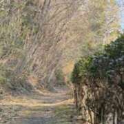 藤澤 恵麻 おしゃんぽに行こ 熟女・人妻マダム宮殿