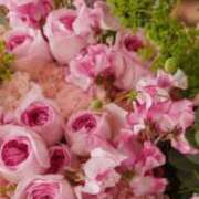 藤澤 恵麻 お礼日記💌 熟女・人妻マダム宮殿