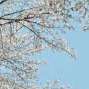 ヒメ日記 2026/04/06 00:36 投稿 藤澤 恵麻 熟女・人妻マダム宮殿