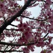 ヒメ日記 2026/04/06 00:57 投稿 藤澤 恵麻 熟女・人妻マダム宮殿