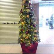 柴崎優美(しばさきゆみ) 【お礼写メ日記】 東京ヒストリー　秘密の約束