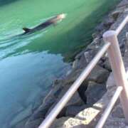 ヒメ日記 2026/02/08 21:32 投稿 柴崎優美(しばさきゆみ) 東京ヒストリー　秘密の約束