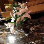 ヒメ日記 2026/02/18 09:22 投稿 柴崎優美(しばさきゆみ) 東京ヒストリー　秘密の約束