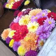 ヒメ日記 2026/02/19 10:02 投稿 柴崎優美(しばさきゆみ) 東京ヒストリー　秘密の約束