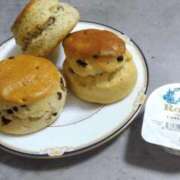 ヒメ日記 2026/03/13 09:52 投稿 柴崎優美(しばさきゆみ) 東京ヒストリー　秘密の約束