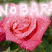 ヒメ日記 2025/11/19 10:55 投稿 のばら 熟女の風俗最終章 新宿店