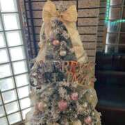 ヒメ日記 2025/12/23 16:43 投稿 のばら 熟女の風俗最終章 新宿店