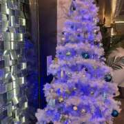 ヒメ日記 2025/12/25 18:12 投稿 のばら 熟女の風俗最終章 新宿店