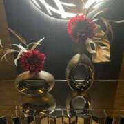 ヒメ日記 2025/12/28 19:24 投稿 のばら 熟女の風俗最終章 新宿店