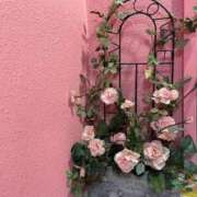 ヒメ日記 2025/12/30 14:18 投稿 のばら 熟女の風俗最終章 新宿店