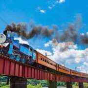 ヒメ日記 2026/01/09 14:12 投稿 のばら 熟女の風俗最終章 新宿店