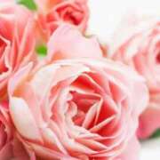 ヒメ日記 2025/11/18 11:19 投稿 富永 昼顔妻 五反田店