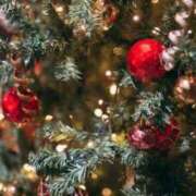 ヒメ日記 2025/12/11 16:36 投稿 富永 昼顔妻 五反田店