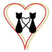 ヒメ日記 2026/01/29 18:46 投稿 富永 昼顔妻 五反田店