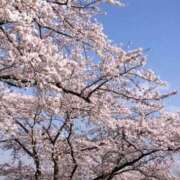 ヒメ日記 2026/04/03 08:16 投稿 富永 昼顔妻 五反田店