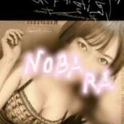 ヒメ日記 2025/11/19 17:36 投稿 のばら 熟女の風俗最終章 池袋店