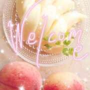 ヒメ日記 2025/12/11 16:20 投稿 のばら 熟女の風俗最終章 池袋店