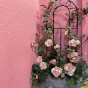 ヒメ日記 2025/12/19 13:02 投稿 のばら 熟女の風俗最終章 池袋店